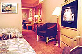 Hotel Ramada Plaza By Wyndham 2*